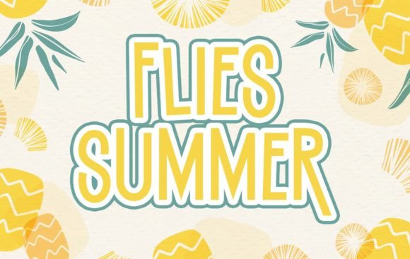 Flies Summer: A Whimsical Display Font for Digital Projects